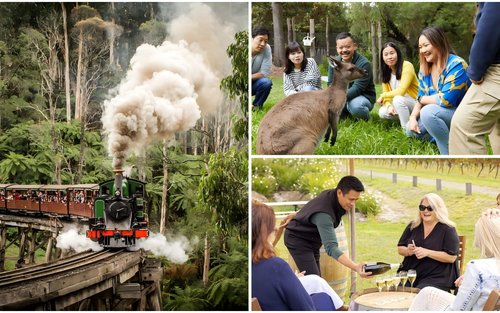 Passeio de Trem Puffing Billy de Melbourne e Santuário de Healesville e Vinícola