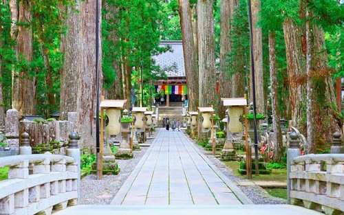 高野山奧之院全日文化遺產之旅連當地美食