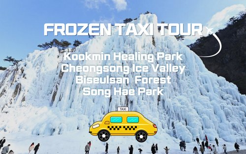 Tour privato in taxi al Frozen Kookmin Healing Park & Cheongsong Ice Valley da Busan, Gyeongju, Daegu o Pohang