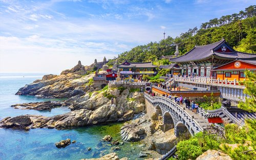 Busan & Gyeongju Private Chartered Car Tour From Busan