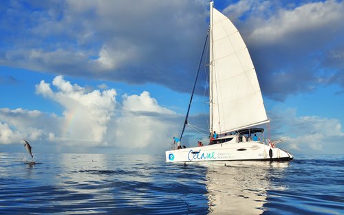 Crystal Rock & Île aux Benitiers Full-Day Catamaran Cruise with Dolphin Watching