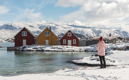 Tromso Sommarøy & Kvaloya Half-Day Tour na may Tanghalian