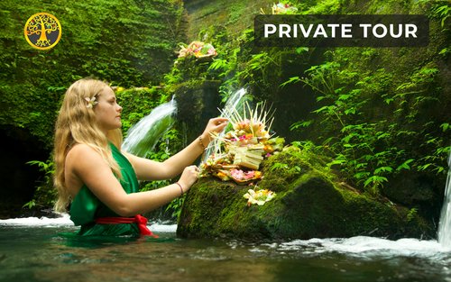 Privat dagstur til helligt bad og junglesving i Bali
