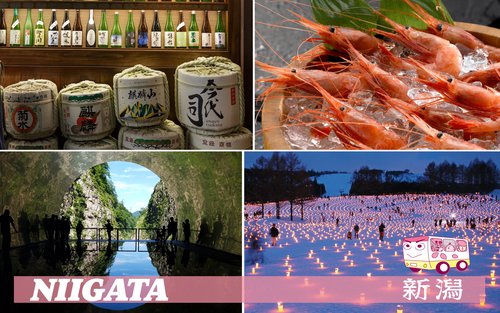 東京 - 新潟 夜行バス