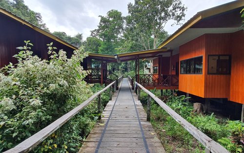 3日2夜探索京那巴当岸河之旅，入住山打根比力探险小屋