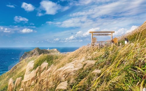 Sommerliche erste Liebe – Wellen von Shakotan, Yoichi, Otaru Tagestour | Inklusive Meeresfrüchte-Bowl oder Seeigel-Bowl, All-you-can-eat-Obst, Tengu Berg Seilbahn