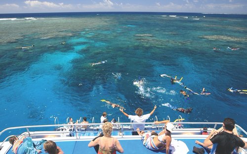 Expérience de plongée avec tuba à Low Isles au départ de Port Douglas