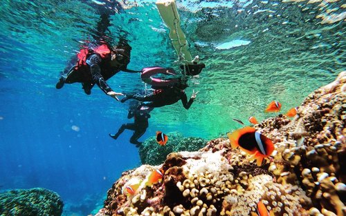 Taitung: Lanyu Louis Snorkeling Experience (Including GoPro Photos)