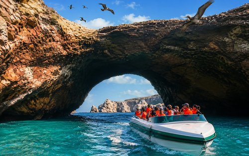 Paracas Ballestas Islands Join-In Wildlife Speedboat Tour