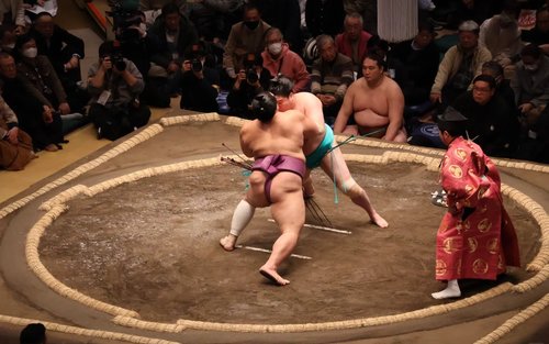 大相撲巡業 横浜場所｜Pia Arenaでの現地観戦｜東京集合