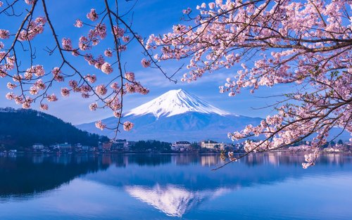 Tour di un giorno al Monte Fuji con opzione pranzo con carne di manzo A5 (da Tokyo)