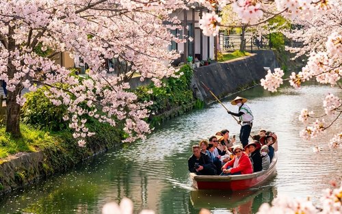 Fukuoka Yanagawa elvecruise og Meoto Iwa heldagstur