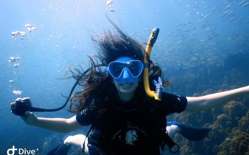Koh Kood Dive Dreams: Your Open Water Course with PADI 5* Center