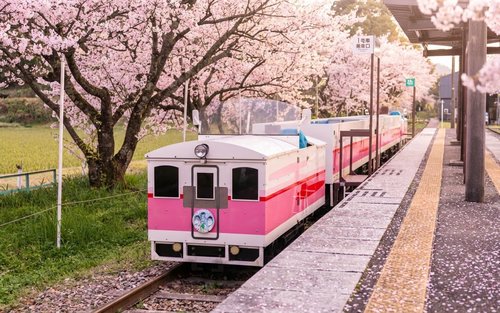 Kyushu Takachiho Day Trip | Takachiho Gorge Boat Ride, Kamishikimi Kumanoza Shrine/Takachiho Railway, Mount Aso, Kusasenri (Starting from Kumamoto)