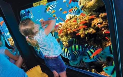 샤름 엘 셰이크: 해안을 따라 즐기는 반잠수정 투어