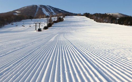 Petualangan Musim Dingin Ski Alpine 5 Hari di Sendai Appi Kogen