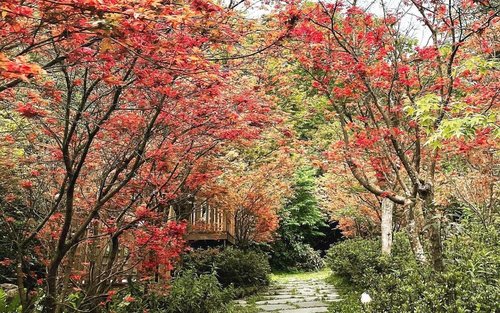 Bilhete para a Fazenda de Lazer Futa Yuan, em Yangmingshan, Taipé
