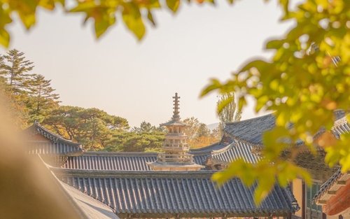 Lawatan Peribadi Gyeongju dengan Pemandu Arah Bertauliah dan Kenderaan Eksklusif