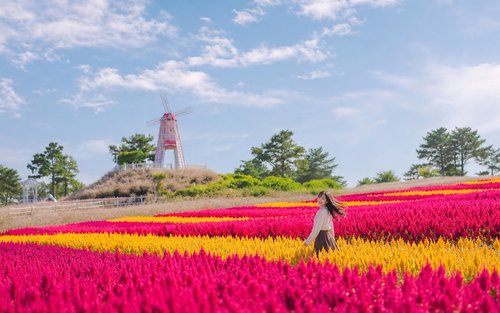 UNESCO Hantan Canyon & DMZ & Seasonal Hot Attractions Day Tour