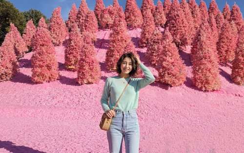 [UNESCO] Pocheon Highlights Tour: Pink Sand, Y-Bridge & Art Valley