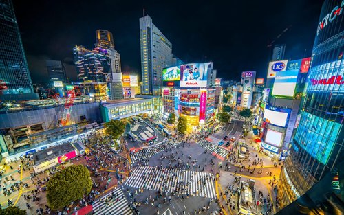 Tokyo Shibuya & Shinjuku Full-Day Private Tour