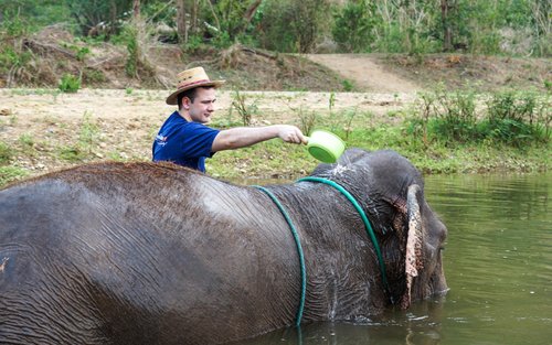 เชียงใหม่ Elephant **Experience**, วัดผาลาด และดอยสุเทพ - เต็มวัน