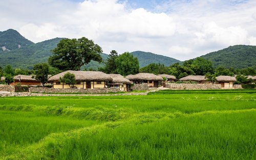 Oedoam Folk Village & Museum Full-Day Cultural Tour