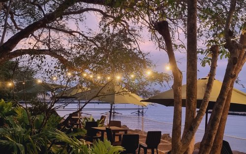 Adventure Cove Day Pass in Subic