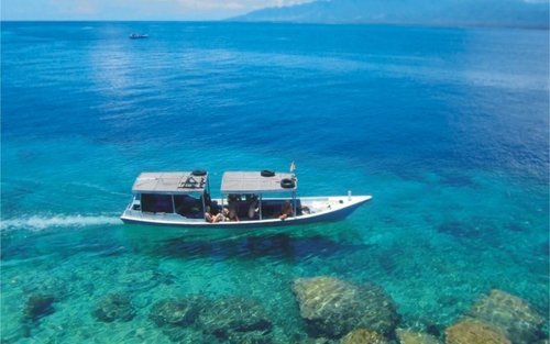 Lawatan Peribadi Sehari Penuh Pulau Tabuan Banyuwangi & Taman Negara Baluran