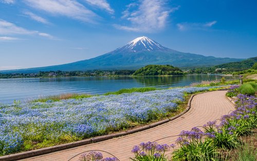 Tagesausflug mit dem gecharterten Auto zum Berg Fuji (ab Tokio)