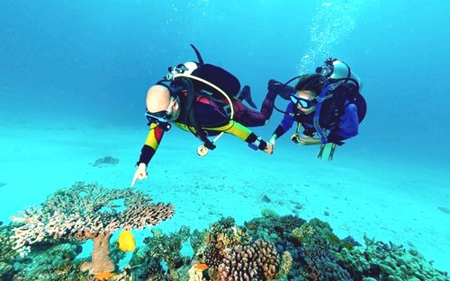 Ras Mohamed Diving Experience from Sharm