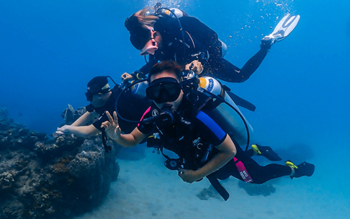 Explora el submarinisme a Koh Tao amb el centre PADI 5 estrelles