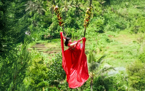 Bali Ubud Full-Day Private Tour with Monkey Forest & Rice Terrace