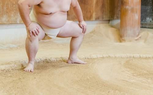 Poranny trening sumo z lokalnym przewodnikiem | Tokio i nie tylko