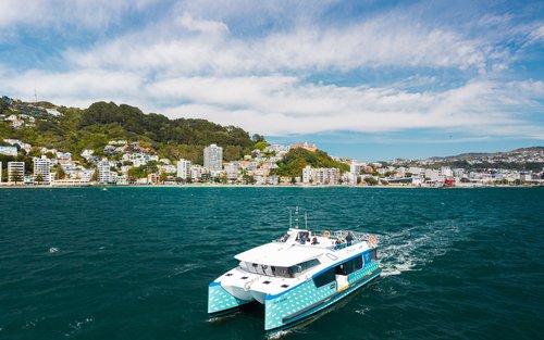 90 Minute Commentated Harbour Tour in Wellington