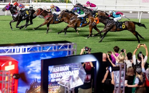 One Day/ Night Horse Racing Experience with Racecourse Guided Tour & Dining