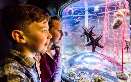 SEA LIFE Brighton Ticket