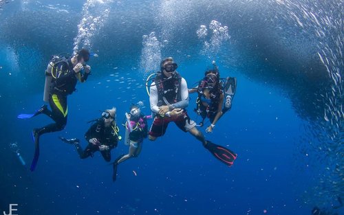 Beyond Basics Bohol: Unleash Your Potential with PADI 5* Dive Center