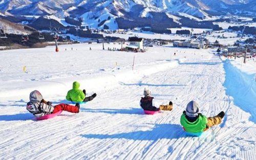 Tur sehari bermain salju & ski di Yuzawa Echigo Iwappara (tersedia pemesanan layanan pelatih, berangkat dari Tokyo)