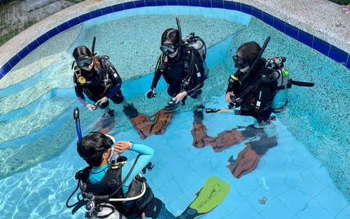 Scuba Wonders Discovery for Beginners with PADI 5* Dive Center