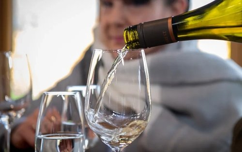 Marlborough Wine Region Half-Day Tour with Wine Tasting