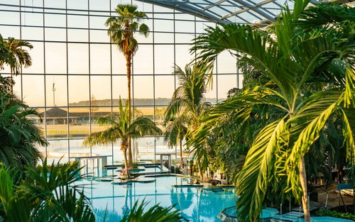 Therme Bucuresti: Admission ticket and transfer