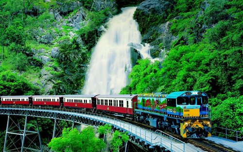 Escursione di un giorno nella foresta pluviale tropicale di Kuranda, Cairns, Australia (con trasferimento/opportunità di abbracciare i koala/funivia/treno/tour in cinese)