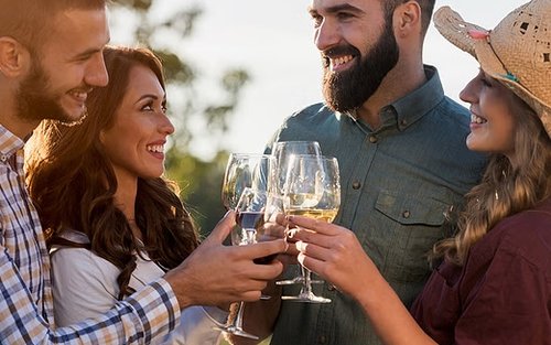 Small-Group Wine Tour