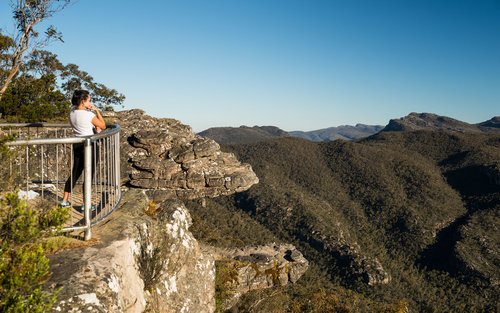 Grampians National Park Full Day Tour with Kangaroos