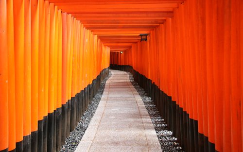 Kyoto Day Tour from Kyoto or Osaka