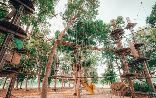 Forest Adventure Treetop Adventure