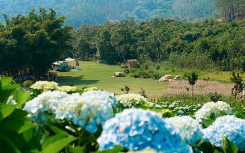 The Florest Ticket in Da Lat City