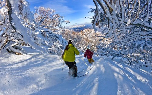ทัวร์ตะลุยหิมะหนึ่งวันที่ภูเขา Mt Buller 
