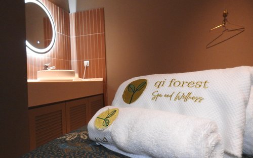 Spa and Massage at Qi Forest IBIS Styles KLIA
